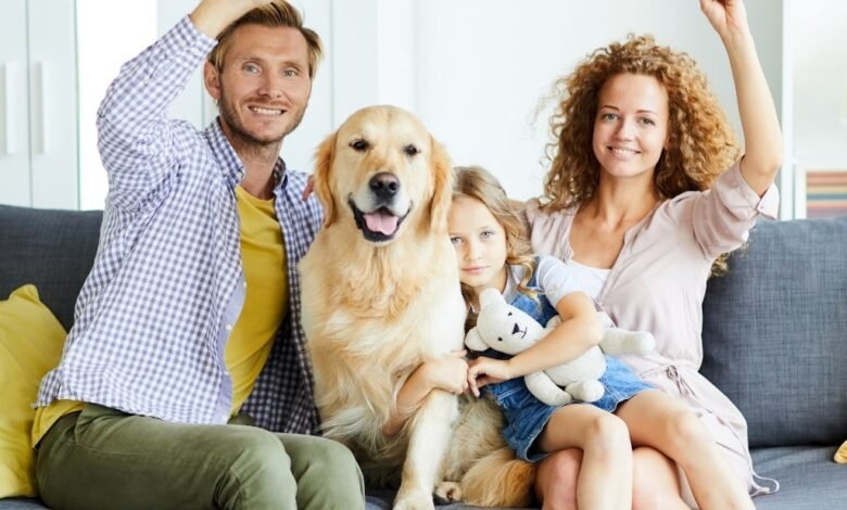 Guia de Construtoras no Piauí