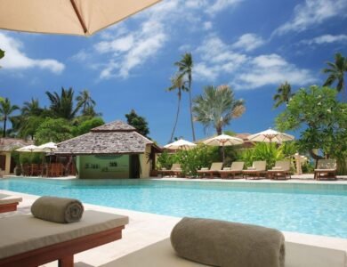 Manual do Piscineiro 2: Como Prestar um Serviço de Excelência e se Diferenciar